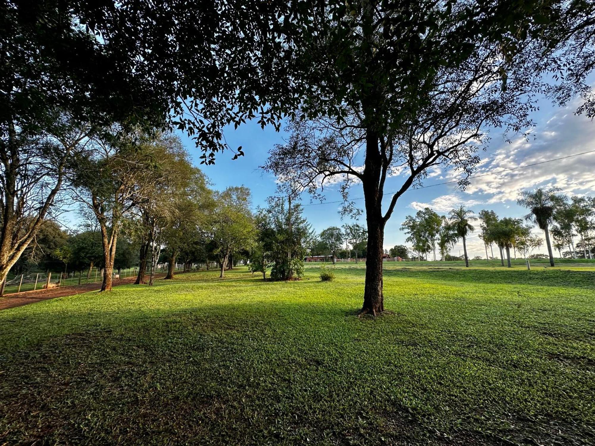 Parque Hotel Manantial Hohenau Εξωτερικό φωτογραφία