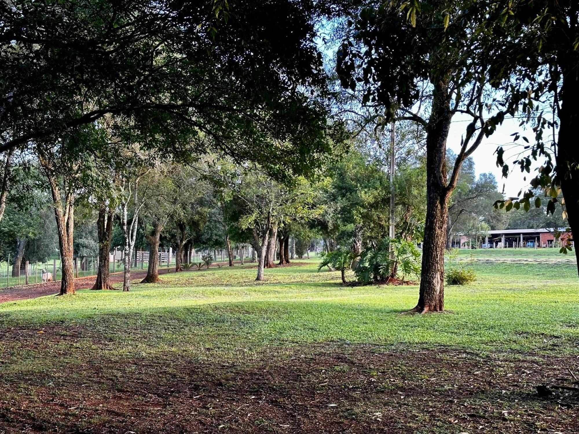 Parque Hotel Manantial Hohenau Εξωτερικό φωτογραφία