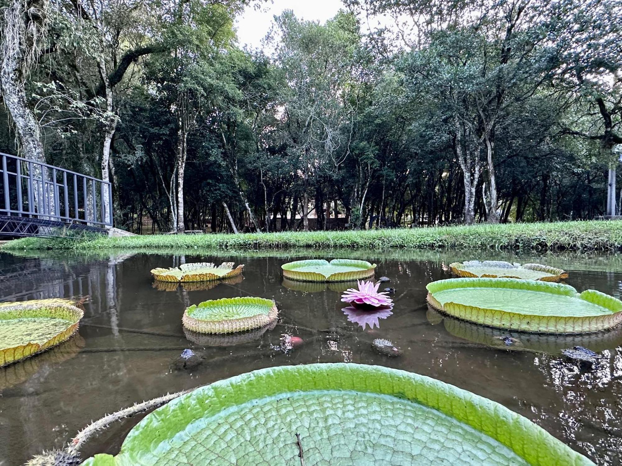 Parque Hotel Manantial Hohenau Εξωτερικό φωτογραφία
